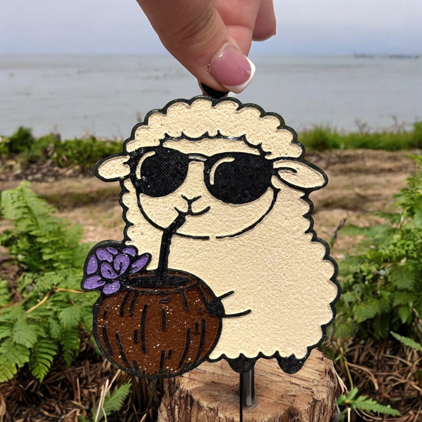 Summer sheep